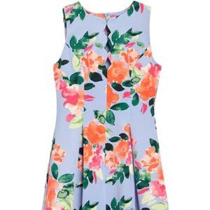❣❣FINAL PRICE❣❣Vince Camuto Sleeveless Dress SZ14
